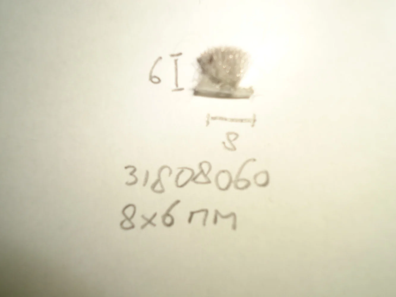 Borsteldichting 8x6mm - Dsc05357 - 31808060